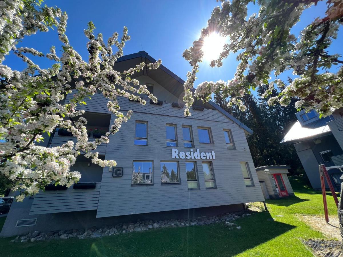 Free Wellness & Spa Multimedia Apartment - Snidane V Cene - Zdarma Vstup Do Wellness, Virive Vany, Solna Sauna, Finska Sauna, Parni Sauna, Masaze, Playstation 5 A Hry, Sklep, Moderni Vybaveni, Parkovani Zdarma, Vybaveni Pro Deti, Klidna Lokalita Harrachov Exterior foto